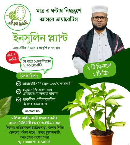 Insulin plant "ডায়াবেটিসের প্রাকৃতিক সমাধান!"